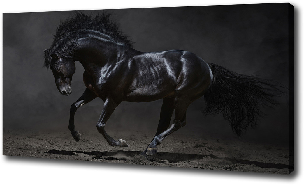 Foto obraz canvas Czarny koń