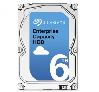 Seagate Enterprise Capacity ST6000NM0115