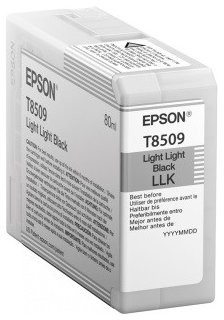 Epson Singlepack Photo Light Light Black cartridge, T850900 C13T850900