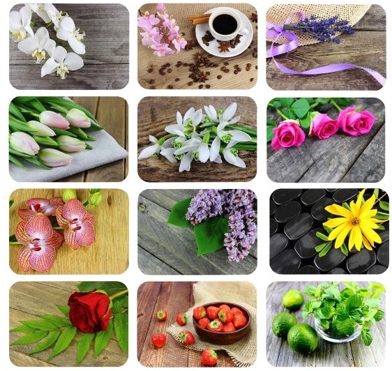 Ravi RAVI MATA DWUSTRONNA LAMINOWANA