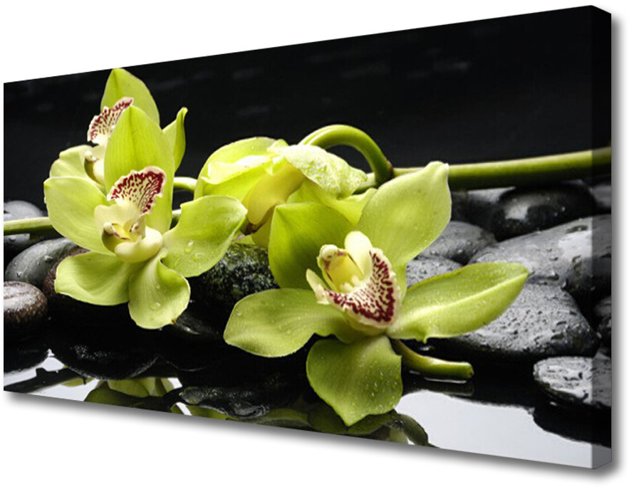 PL Tulup Obraz Canvas Kwiat Orchidea Roślina 125x50cm