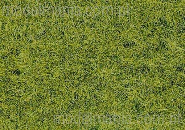 Heki Mata, trawa dzika wczesna 28x14cm 1576