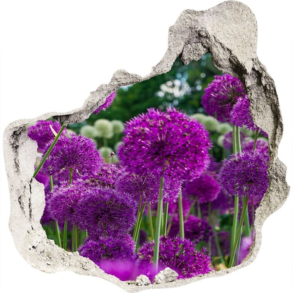 Wallmuralia.pl Naklejka 3D dziura samoprzylepna Kwiaty czosnku