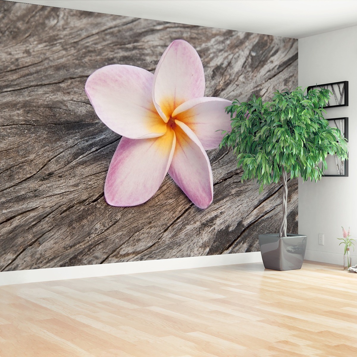 Fototapeta Frangipani Drewno