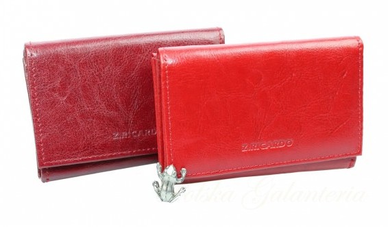 Z.Ricardo Portfel Skórzany (PL) Skóra Licowa 12 cm Kieszeń Na Zewnątrz ZR21