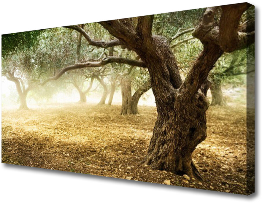 PL Tulup Obraz na Płótnie Drzewo Trawa Natura 100x50cm