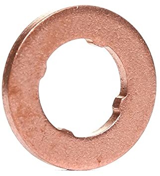 Bosch Bosch F00VP01004 pierścień uszczelniający F00VP01004