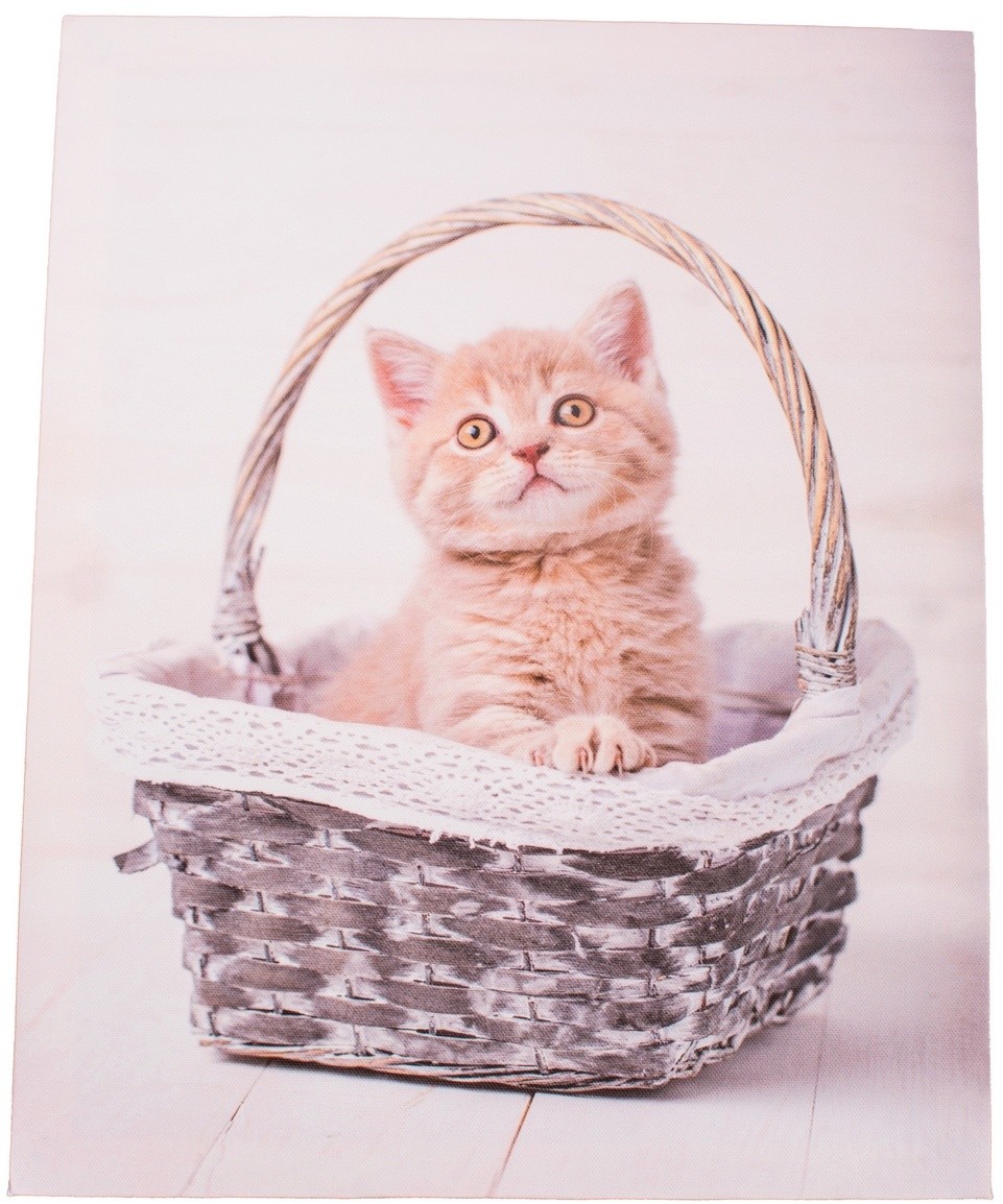 Obraz na płótnie Kittie in basket, 30 x 40 cm