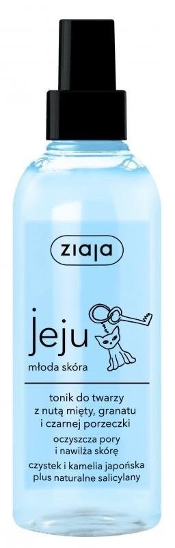 Ziaja Jeju tonik do twarzy w sprayu z nutą mięty granatu i czarnej porzeczki 200ml