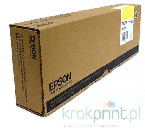 Epson C13T591400