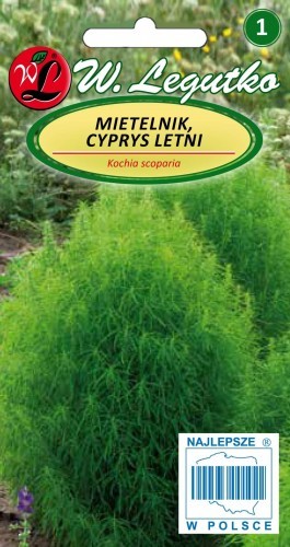 Legutko Mietelnik, Cyprys letni zielone 5903837198009