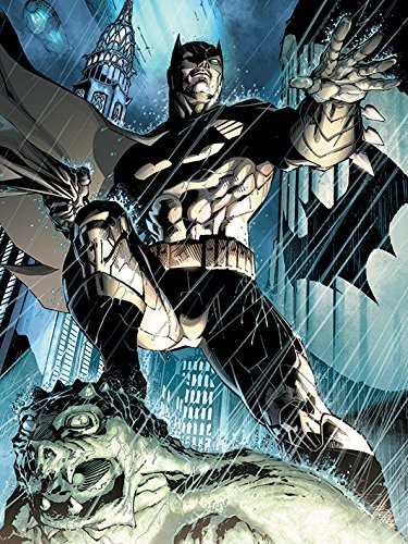 Batman Storm nadruki na płótnie 60 x 80 cm, wielokolorowa WDC99598