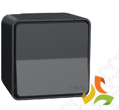 Schneider Electric MUREVA STYL Wyłącznik 1 pojedynczy 2-biegunowy IP55 antracyt MUR35033 MUR35033/SCH