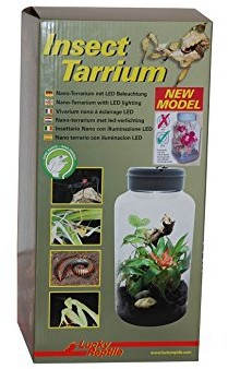 Lucky Reptile IT-5 InsectTarrium 5 l, Pet Kleinterrarium dla pierwszego rozpoczęcia terrarizmu