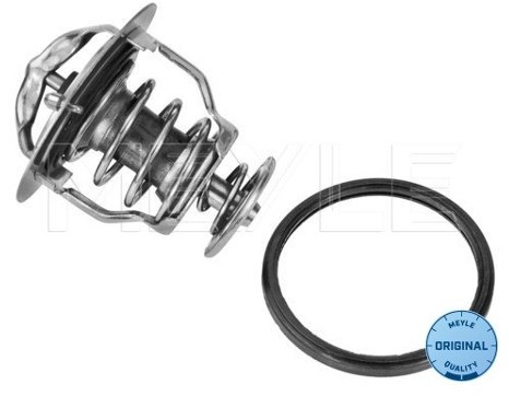 Wulf Gaertner Autoparts Termostat, środek chłodzący Wulf Gaertner Autoparts 028 282 0004