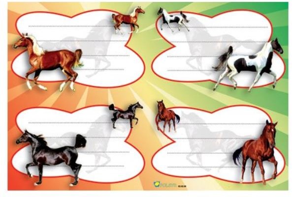 INNI Naklejki na zeszyt M p25