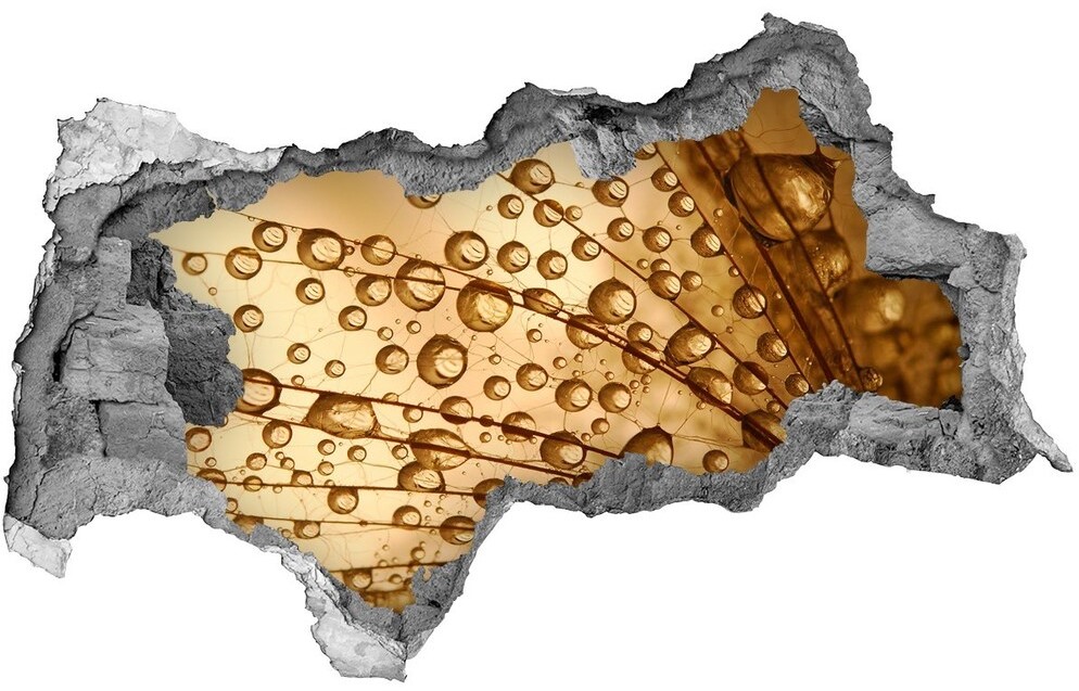 Wallmuralia.pl Samoprzylepna naklejka Nasiona dmuchawca