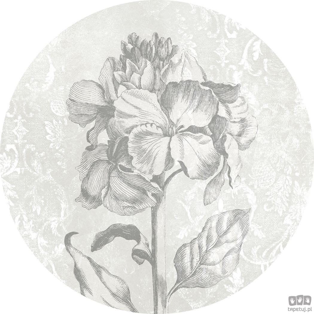 Komar Fototapeta Barock Beauty D1-031 D1-031