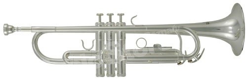 Roy Benson TR 202S Student Series