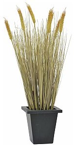 Europalms Europalms Wheat ready to harvest 60cm , Sztuczna trawa 82505867