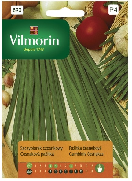 Vilmorin Nasiona szczypiorek czosnkowy