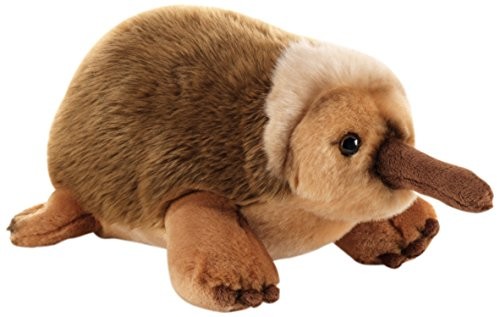 Unbekannt Pluszowe pluszaki & Company 15849  Edith  echidna  30 cm Plush & Company_15849