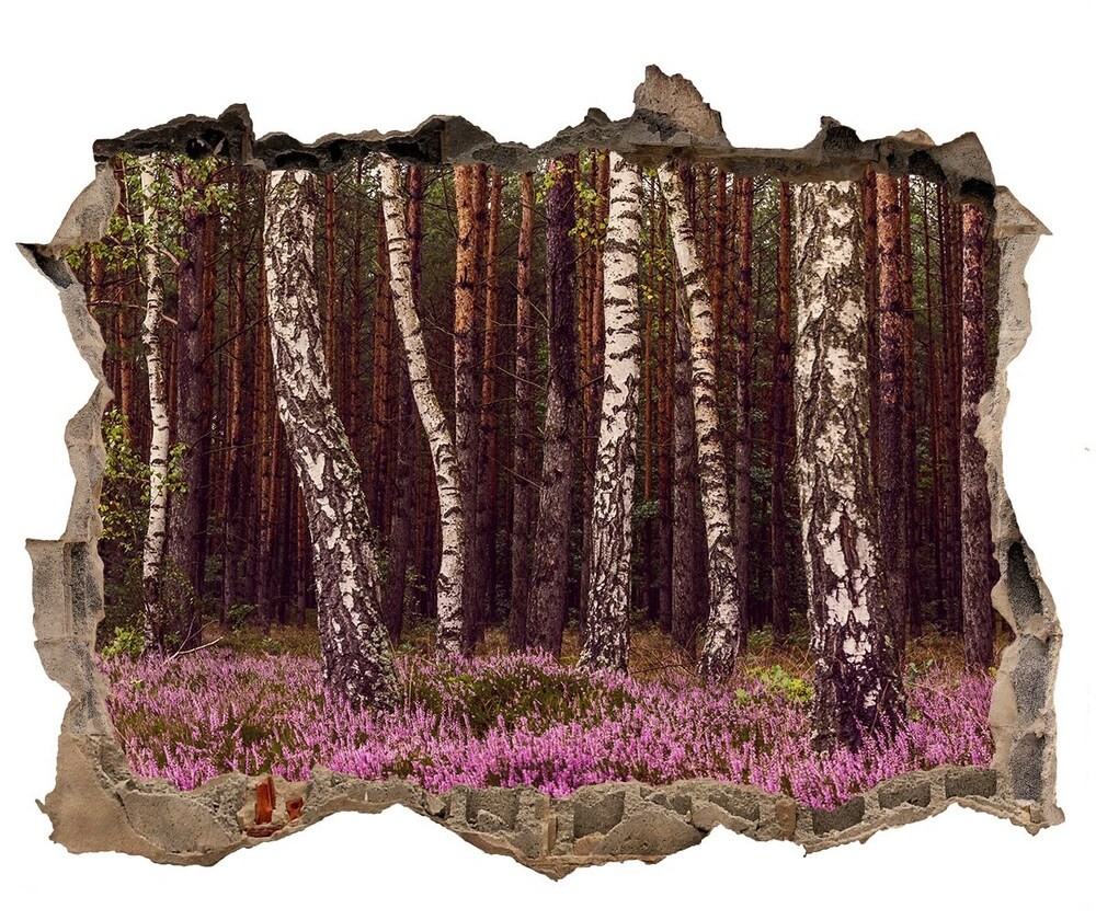 Wallmuralia.pl Dziura 3d w ścianie na ścianę Wrzosowisko