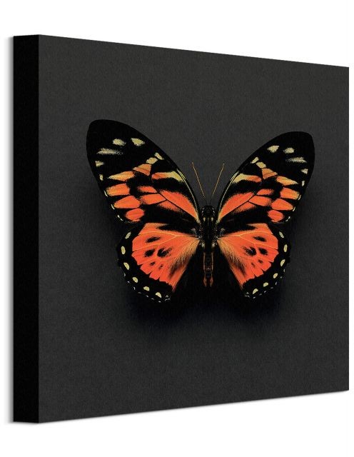 Pyramid Posters Motyl Tygrysi - obraz na płótnie WDC91557