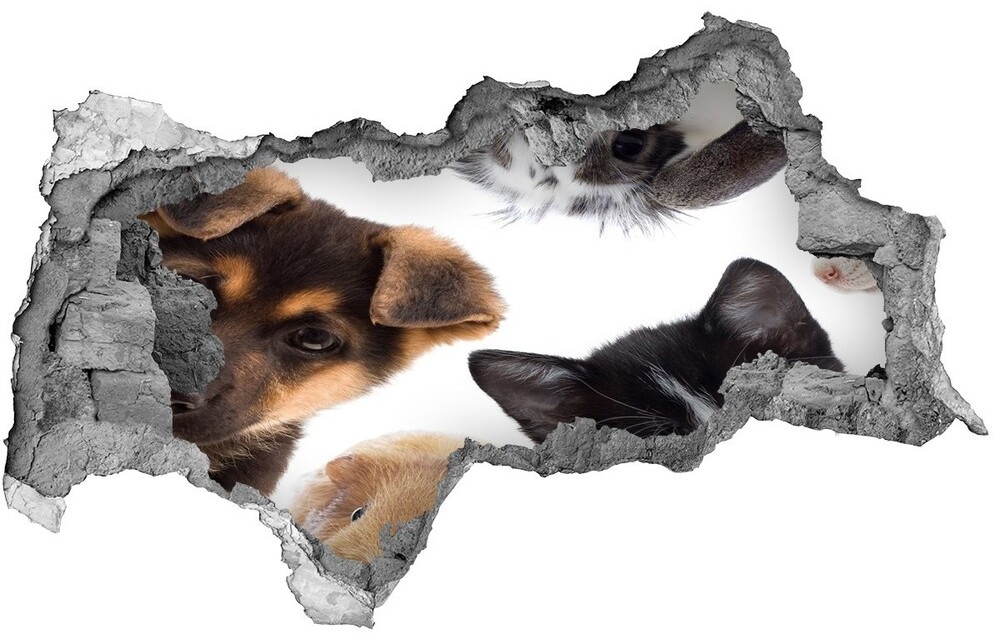 Wallmuralia.pl Dziura 3d fototapeta na ścianę Zwierzęta domowe