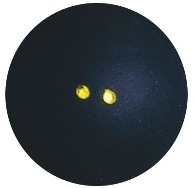 Dunlop rakieta do squasha ball Pro 700108US