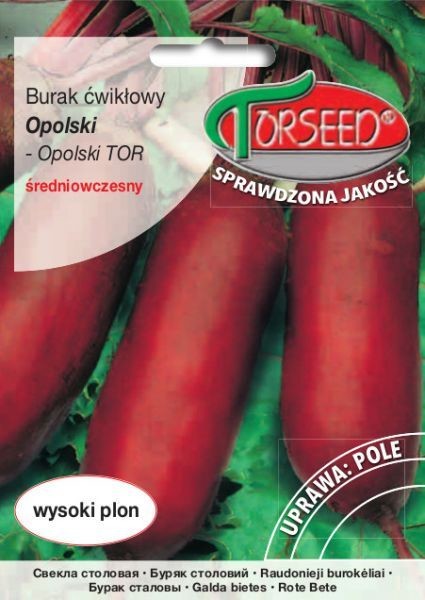Torseed Nasiona Burak ćwikłowy Opolski 15g Torseed5706