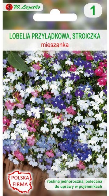 Legutko Lobelia przylądkowa (Stroiczka) MIESZANKA