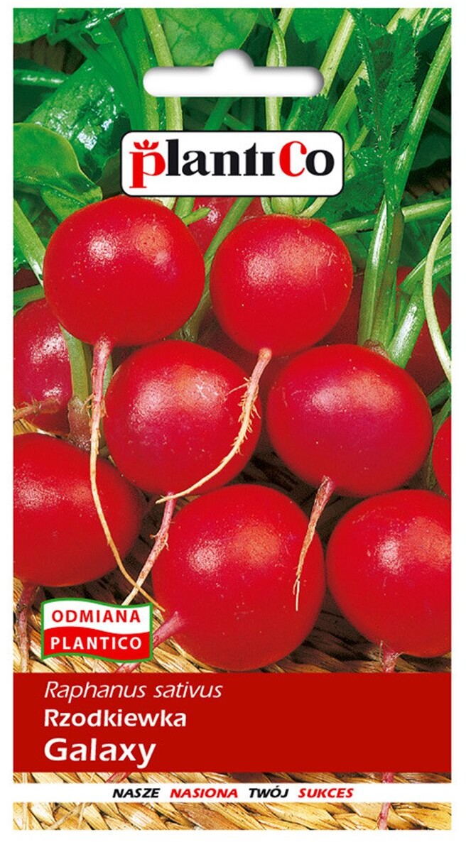 Plantico Rzodkiewka Galaxy 10g