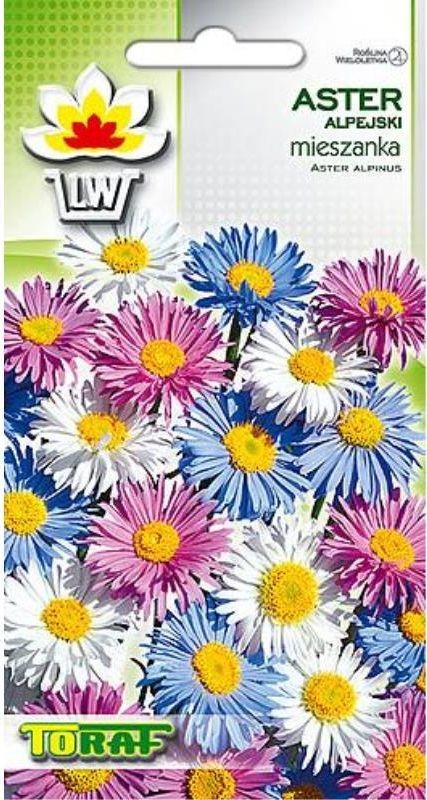 Toraf KWIATY Aster Alpejski mix nasiona 0,5g 00312