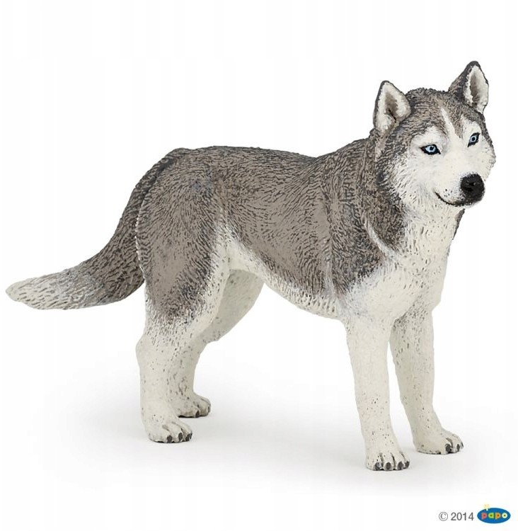 Papo 54035 Husky syberyjski 11x2x6cm
