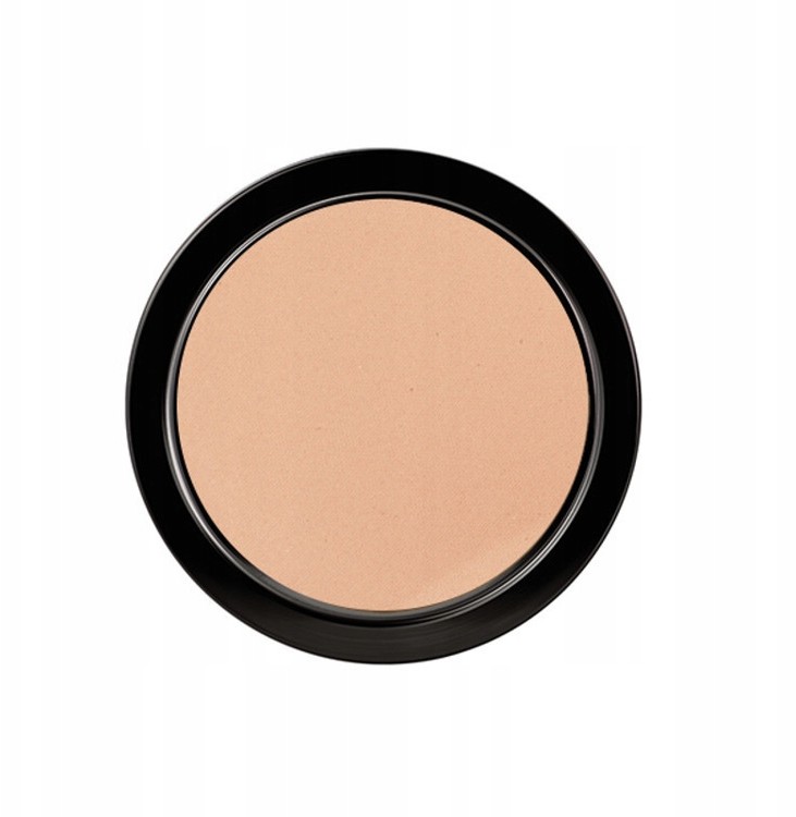 PAESE artist Long Cover Powder Puder do twarzy 30