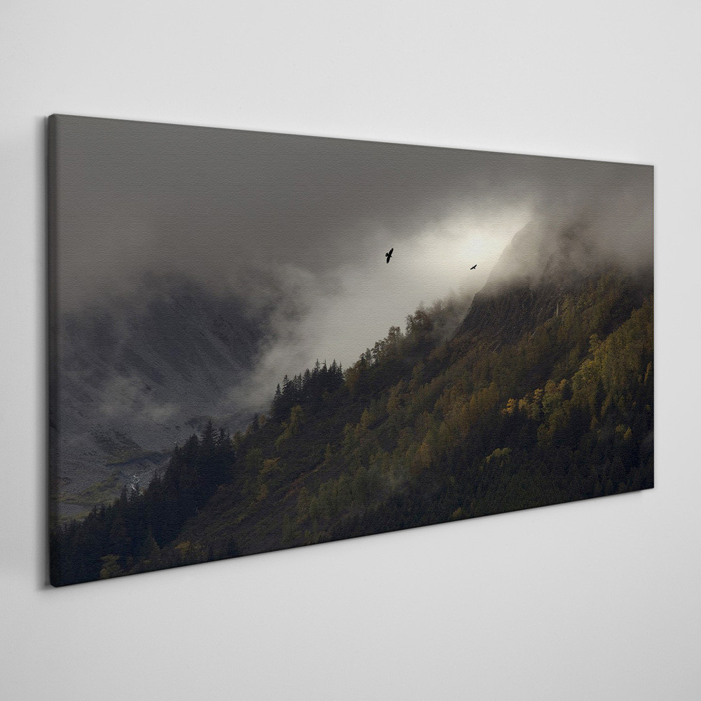 PL Coloray Obraz Canvas Malarstwo Chmura Góra 140x70cm