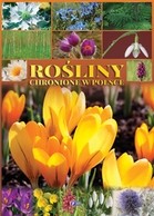 Rośliny chronione w Polsce - Najpopularniejsze gatunki - Fenix