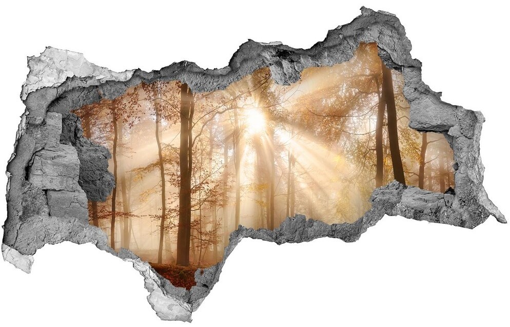 Wallmuralia.pl Dziura 3d w ścianie naklejka Mgła w lesie jesień