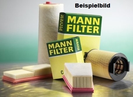 Mann Filter Filtr mężczyzna C 3744/1 filtr powietrza C 3744/1