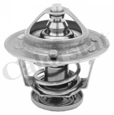 CALORSTAT Termostat, środek chłodzący CALORSTAT TH6314.76