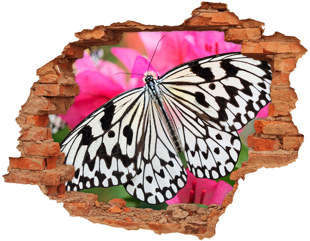 Wallmuralia.pl Dziura 3d fototapeta naklejka Motyl na kwiatku