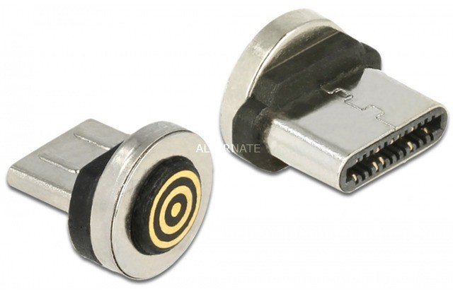 Delock 65933 przejściówka USB Type-C magnet interface Czarny, Stal nierdzewna, Adapter