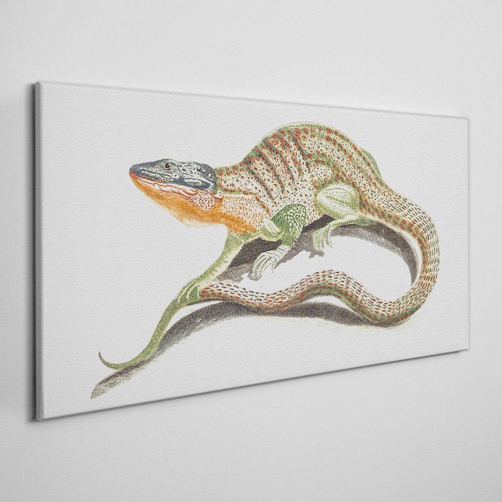 PL Coloray Obraz Canvas Zwierzę Jaszczurka 140x70cm