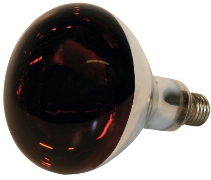 Kerbl Lampa na podczerwień, 150 W, szkło hartowane, czerwona, czerwony 22244