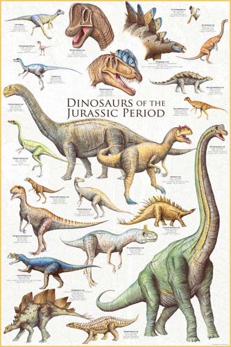 Empire Edukacja  nauka plakat dinozaur z Jurassic czas 536181