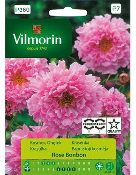 Vilmorin Kosmos ROSE BONBON
