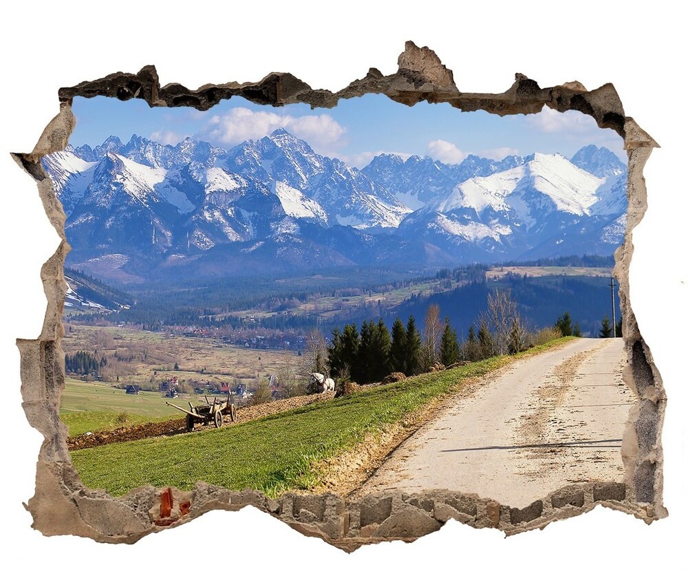 Wallmuralia.pl Samoprzylepna naklejka beton Panorama Tatr