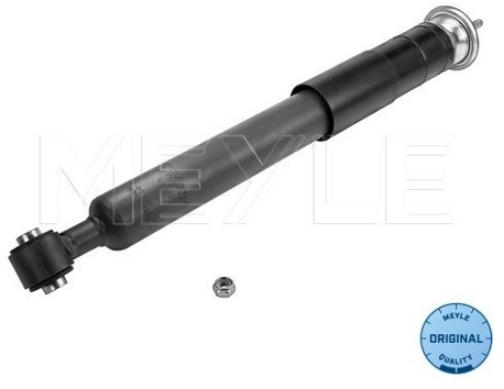 Wulf Gaertner Autoparts Amortyzator Wulf Gaertner Autoparts 026 725 0003