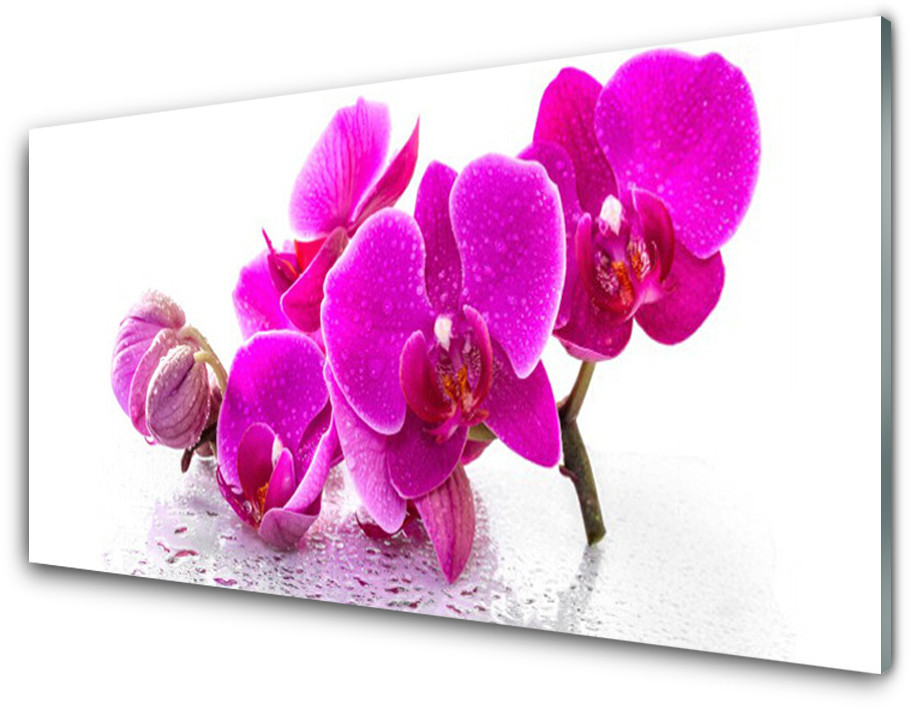 Tulup.pl Panel Kuchenny Kwiaty Bratek 120x60cm